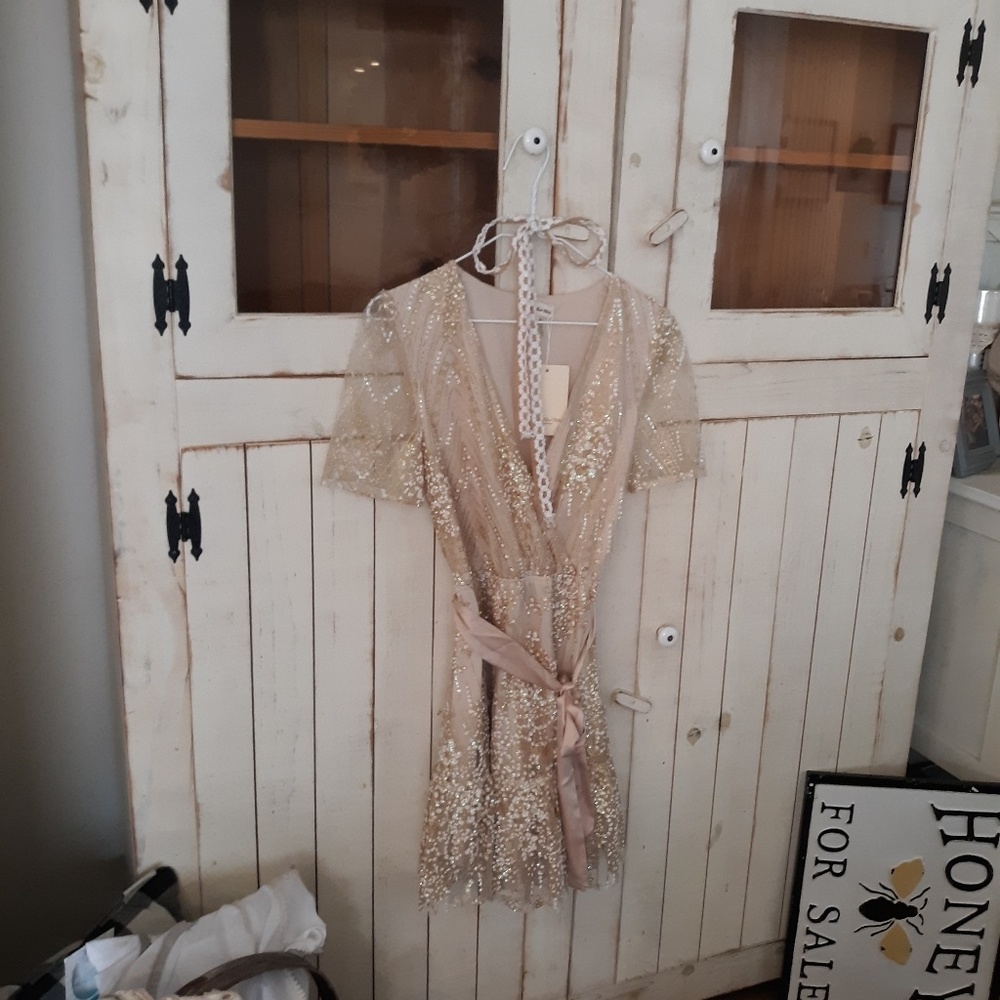 Brand new Southern Fried Chicks dress